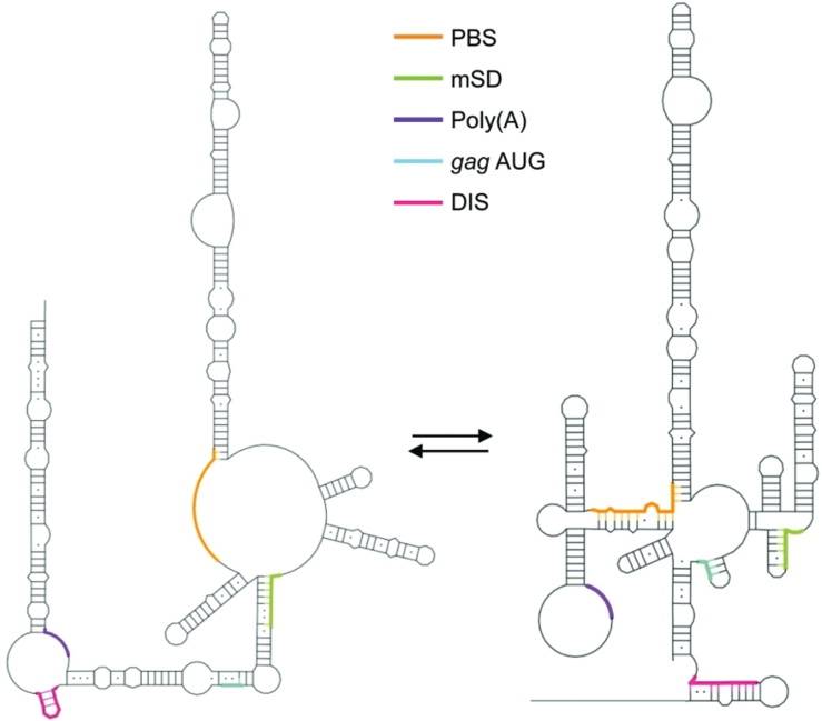 Figure 7.