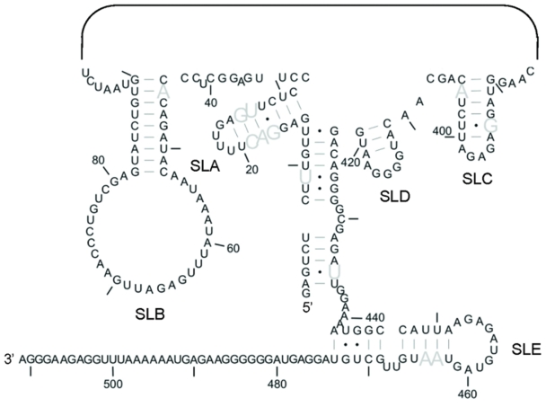 Figure 4.