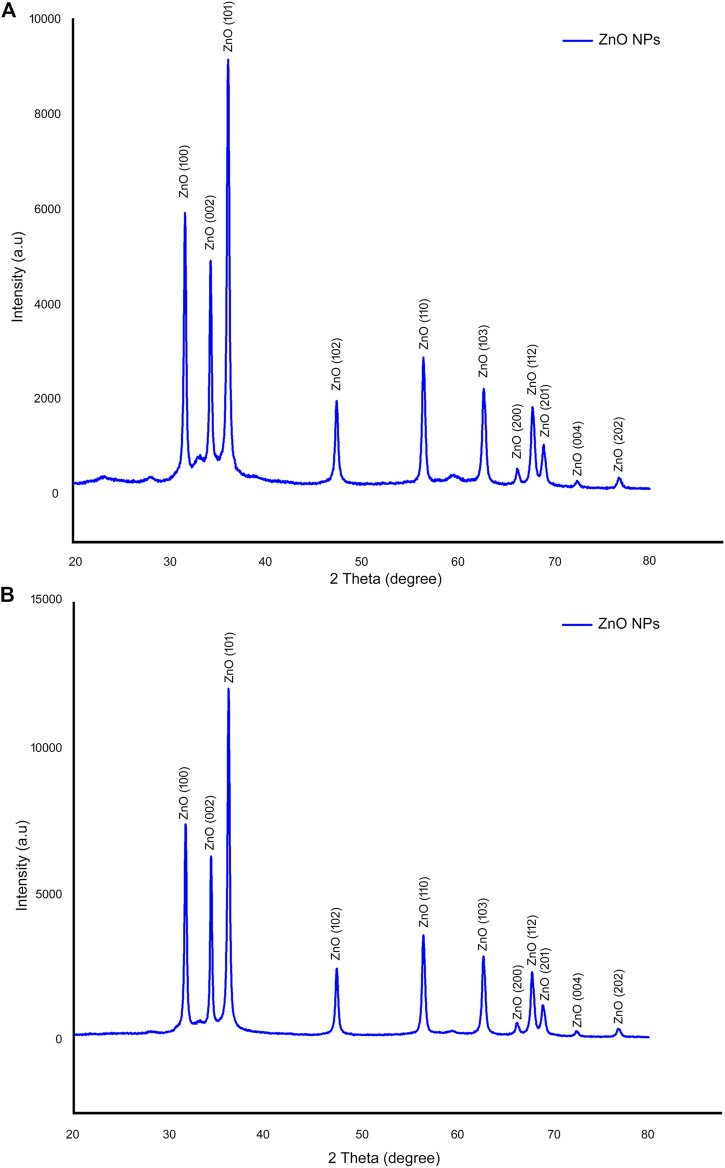 FIGURE 4