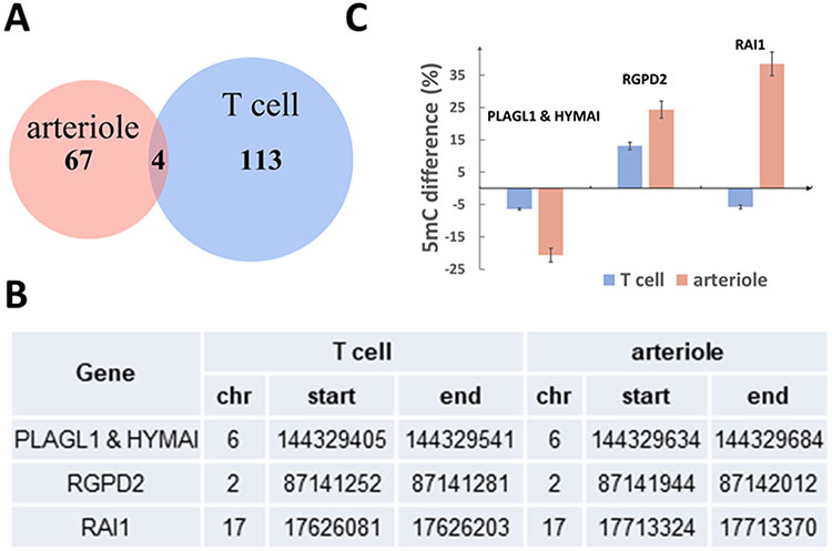 Figure 6.