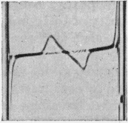 Fig. 1. (b)