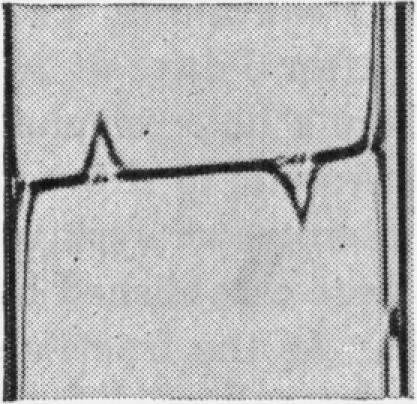 Fig. 1. (a)