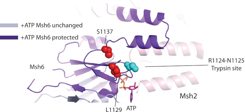 FIGURE 11.