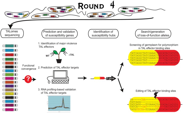 FIGURE 3