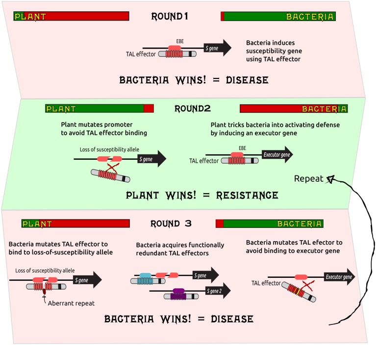 FIGURE 2