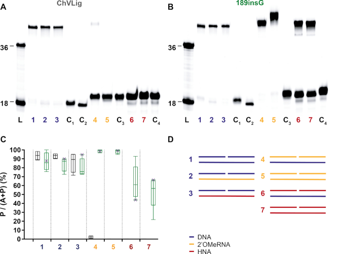 Figure 4.