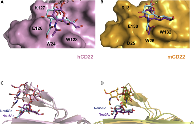 Figure 6