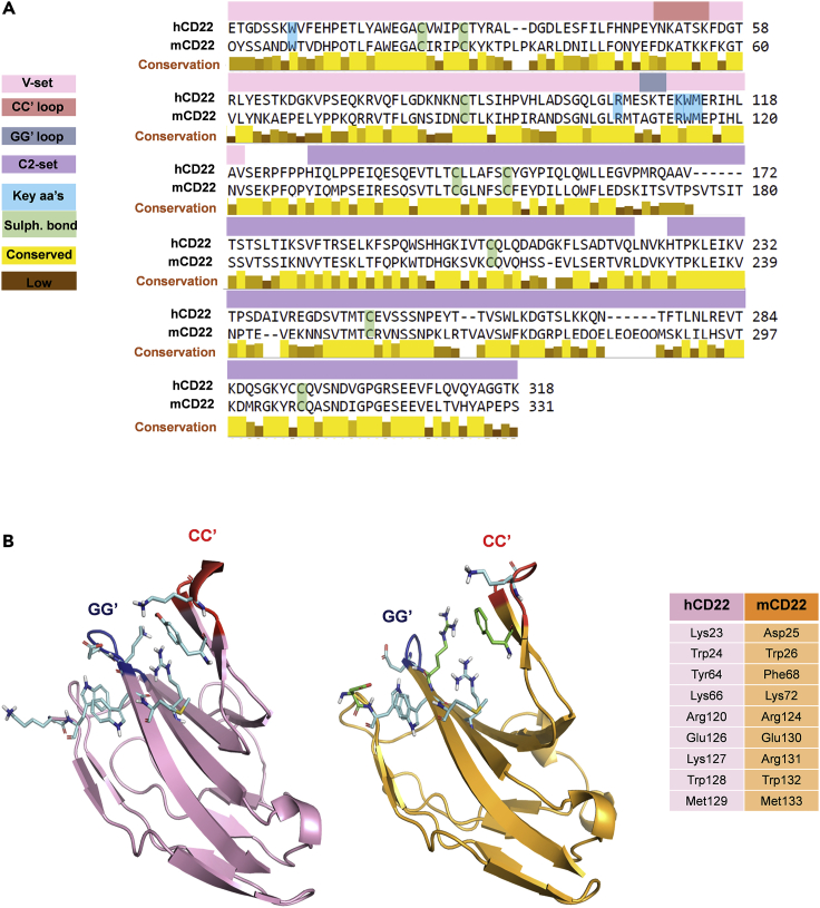 Figure 3