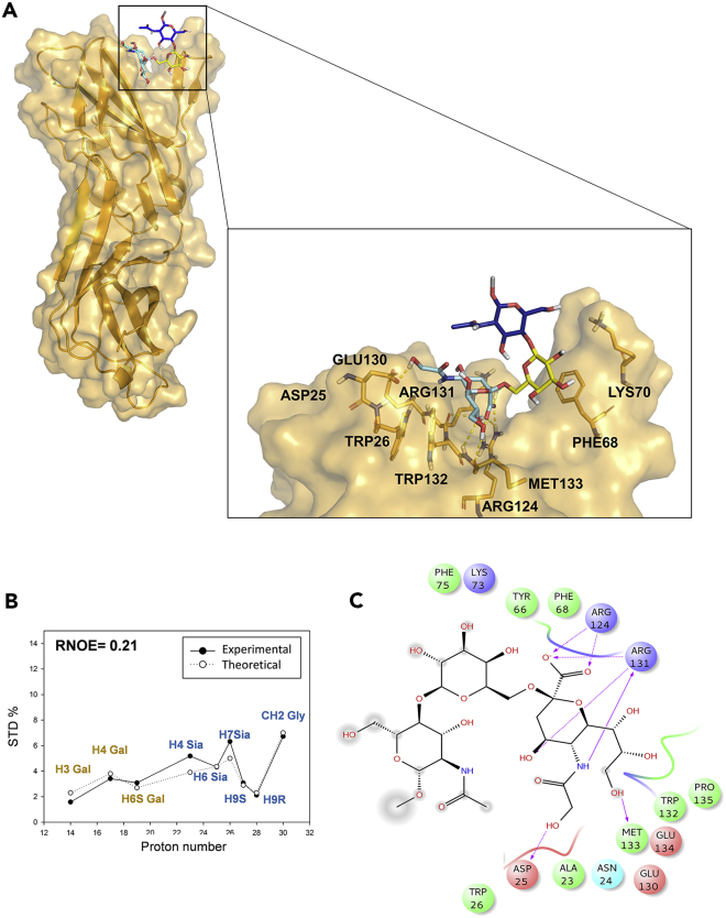 Figure 5