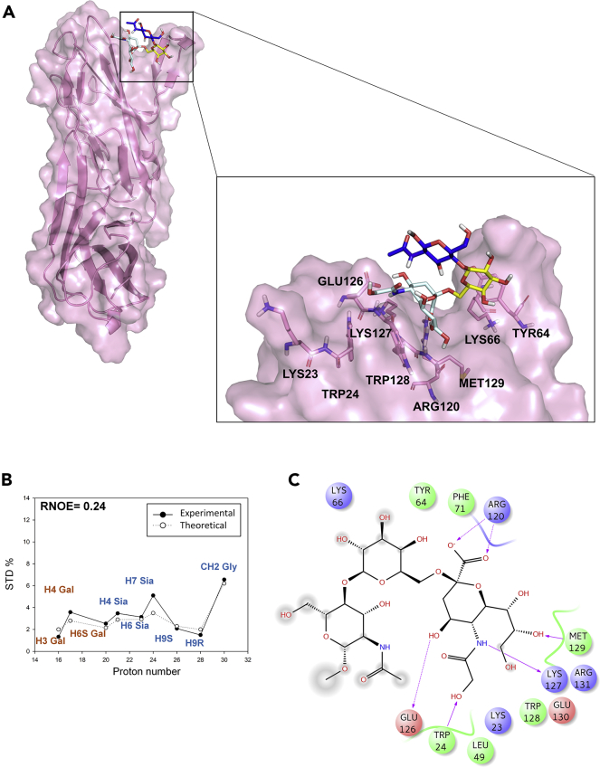 Figure 4