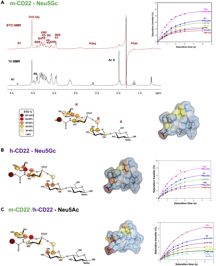 Figure 2