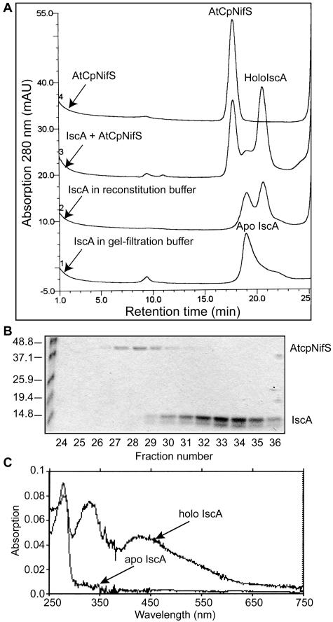 Figure 7.