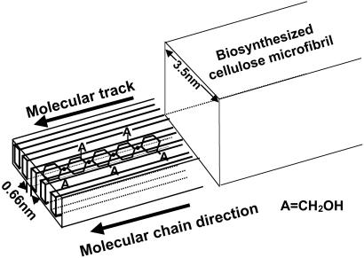 Fig 4.