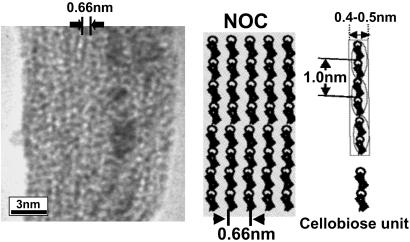 Fig 1.