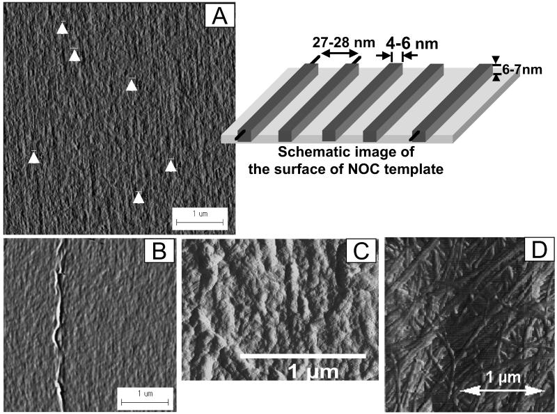 Fig 6.