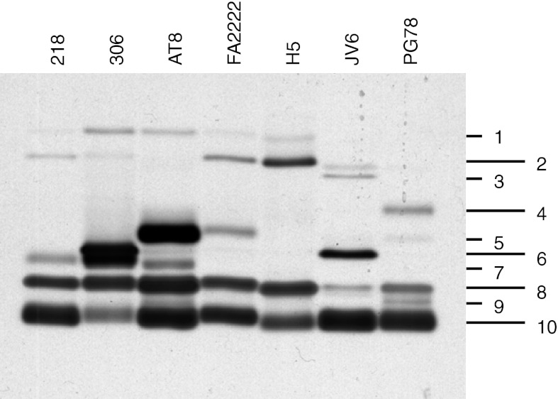 Fig. 4