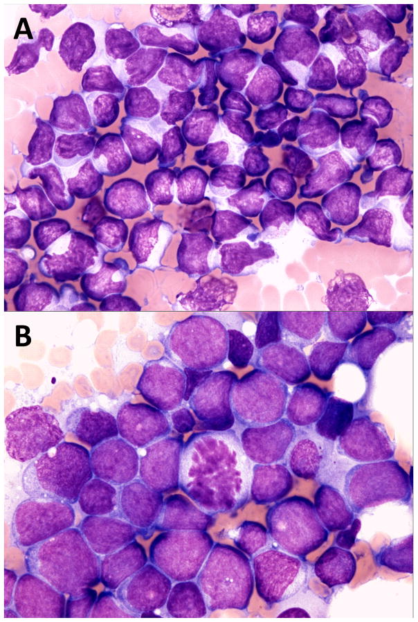 FIGURE 1