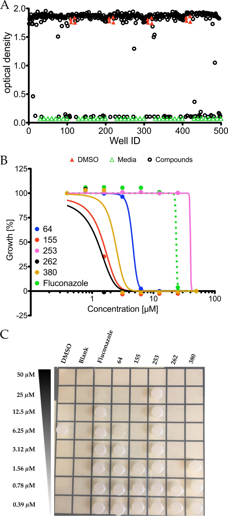 FIG 1