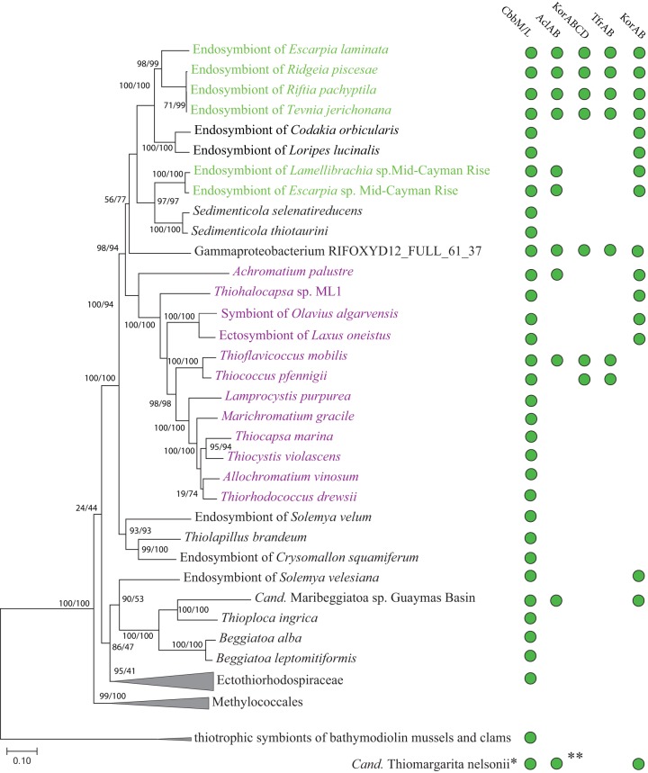 FIG 1