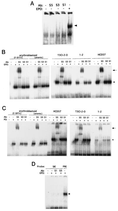 FIG. 8