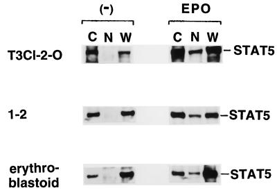 FIG. 9