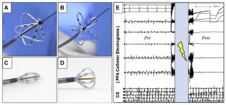 Figure 4