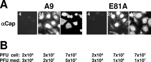 FIG. 8.