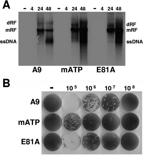 FIG. 6.