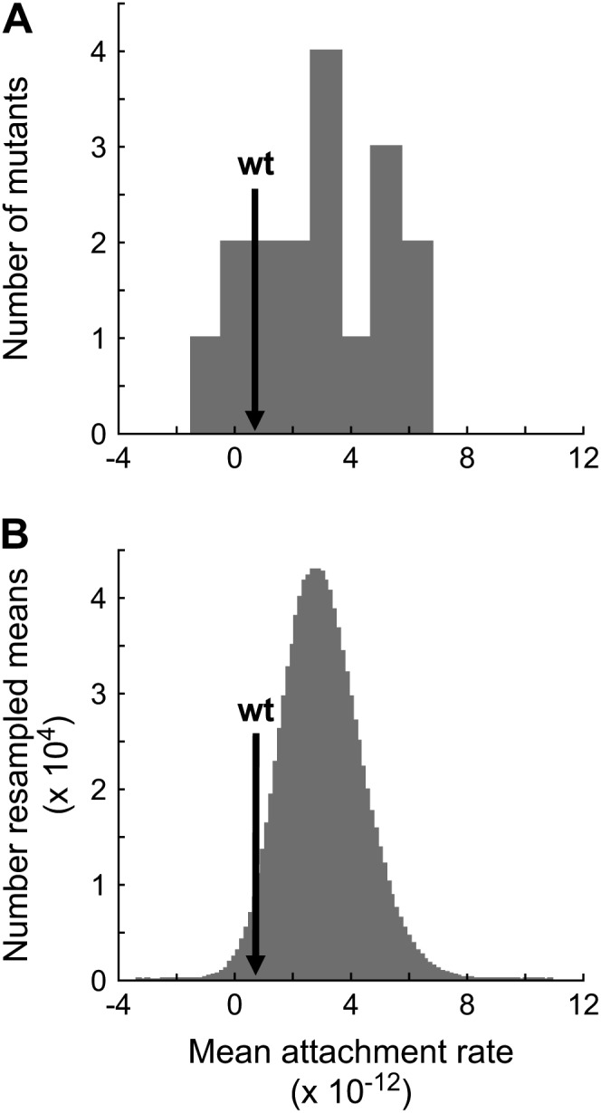 Figure 2.—