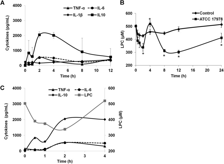 FIG 1