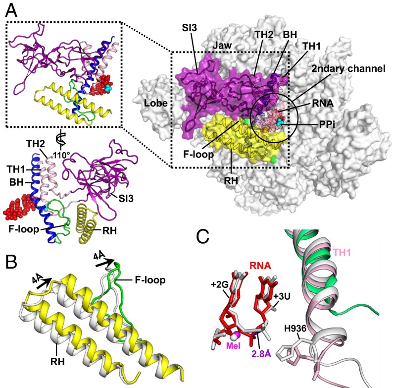 Fig. 4.