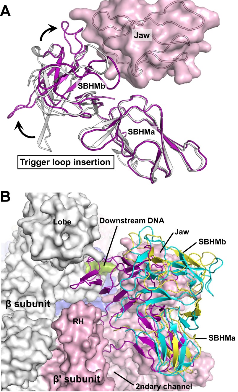 Fig. S6.