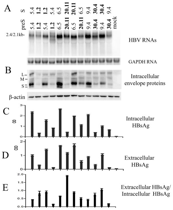 Fig 8