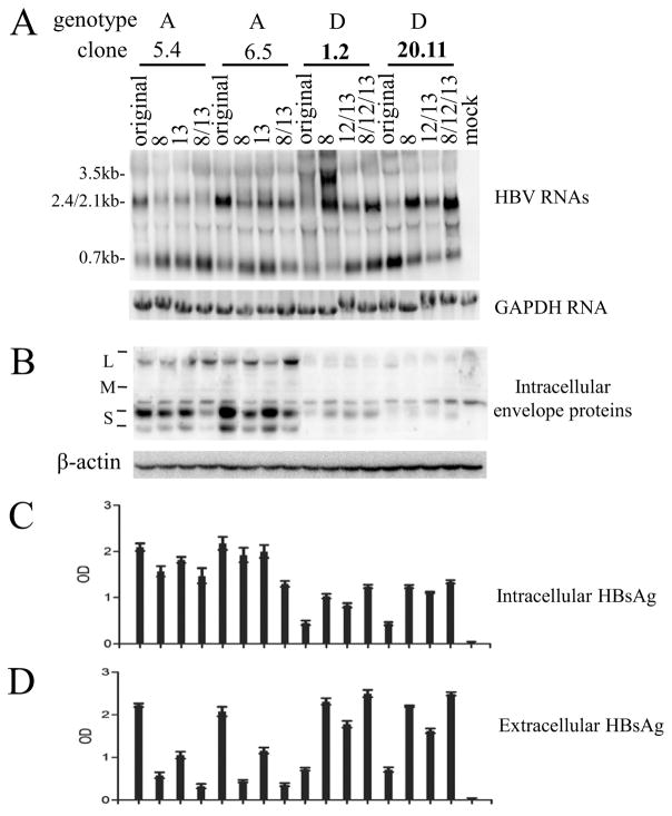 Fig 5