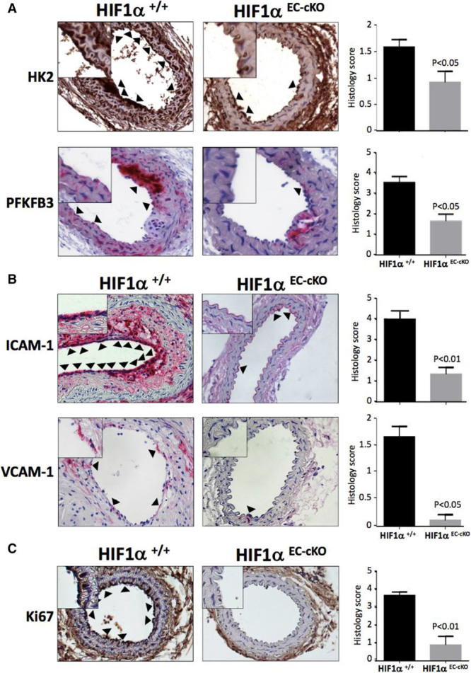 Figure 10.