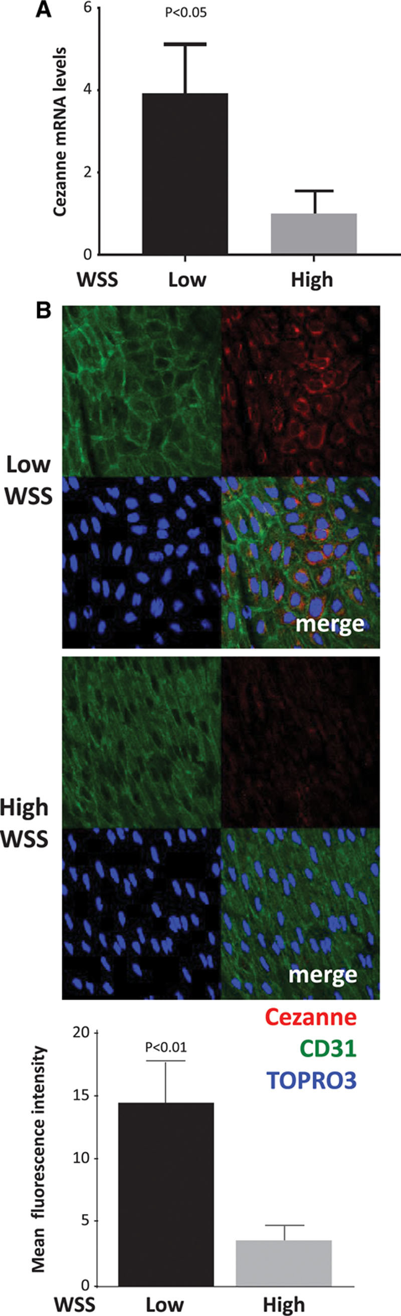 Figure 5.