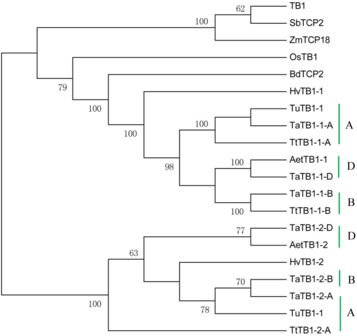 FIGURE 2