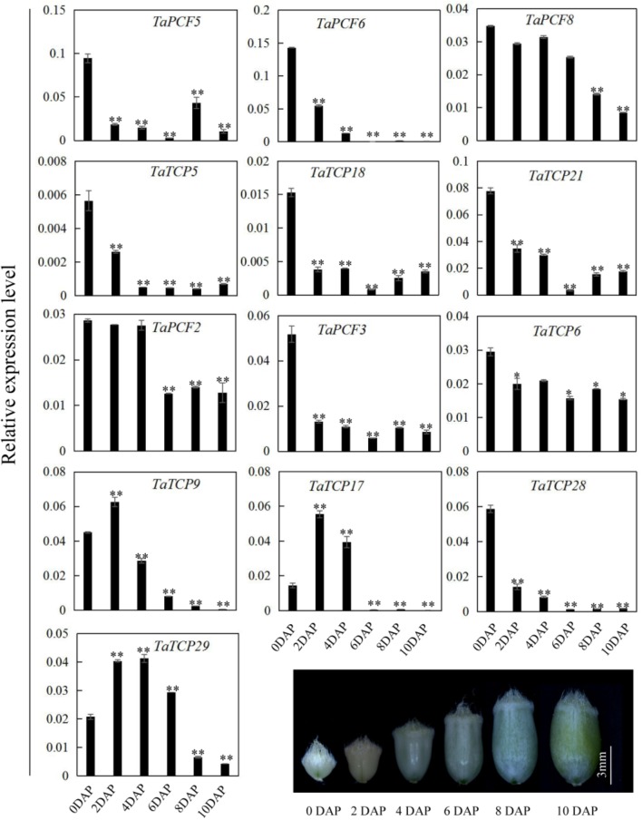 FIGURE 10