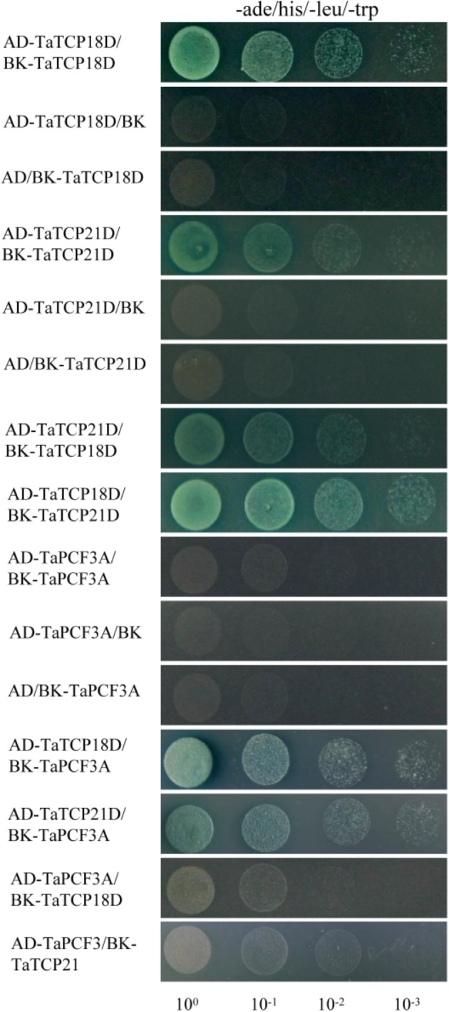 FIGURE 12