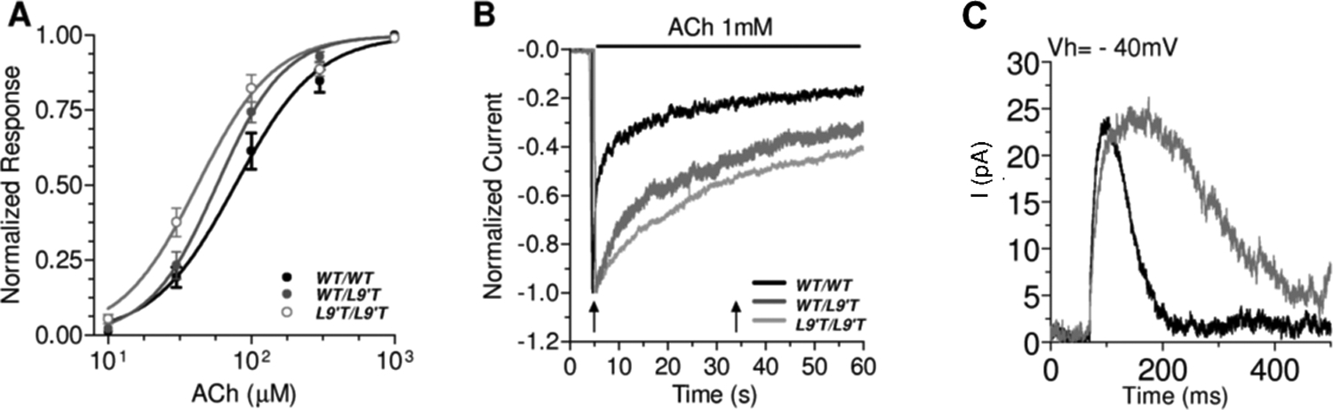 Figure 3.