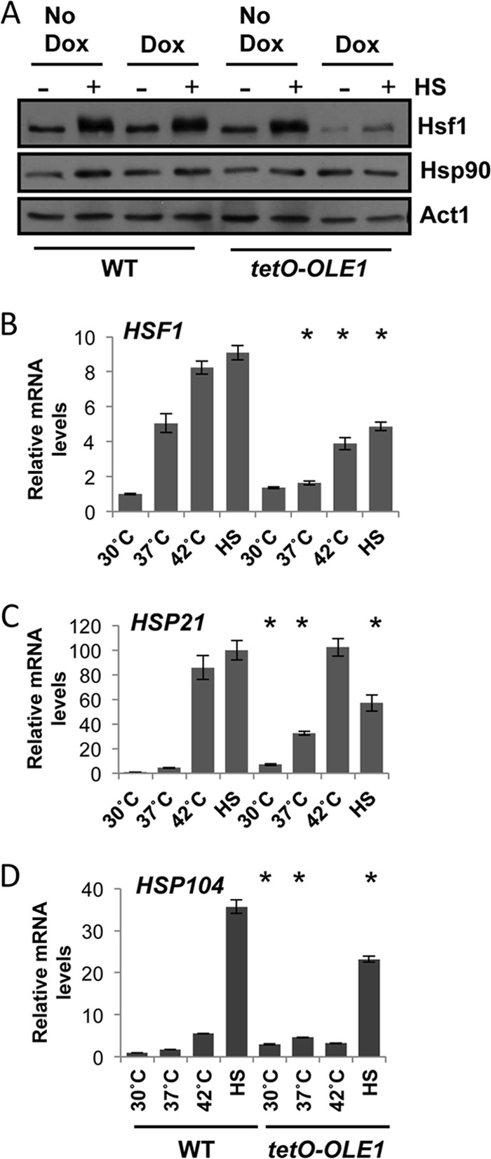 FIG 2