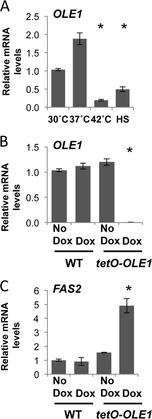 FIG 1