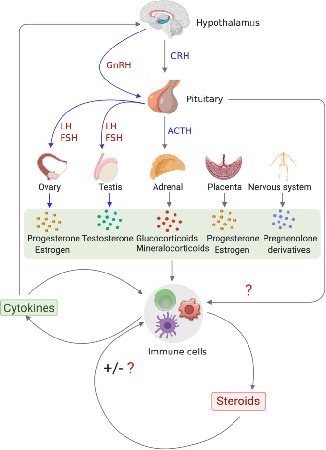 Fig. 2