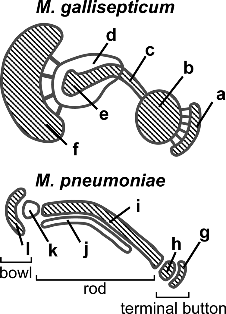 FIG. 6.