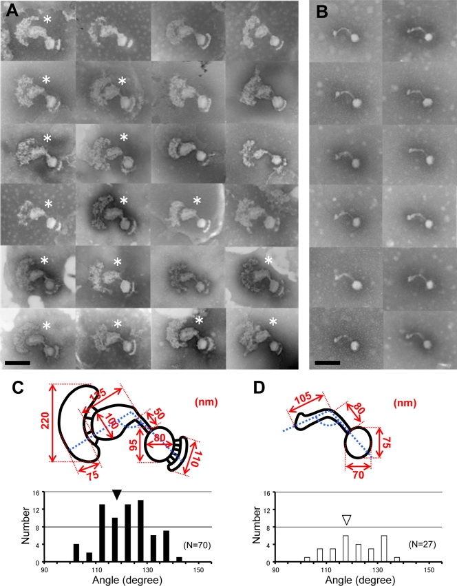 FIG. 4.