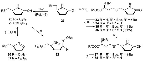 Scheme 4