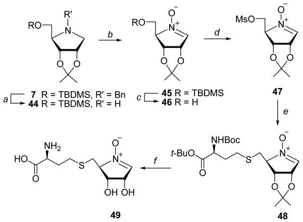 Scheme 6