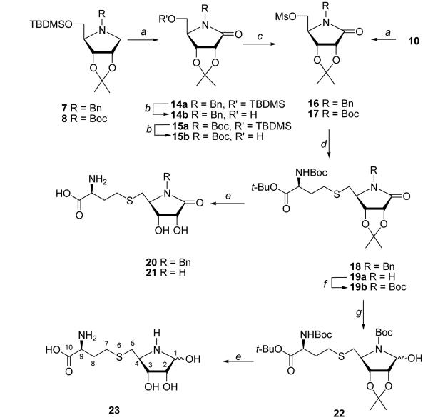 Scheme 2