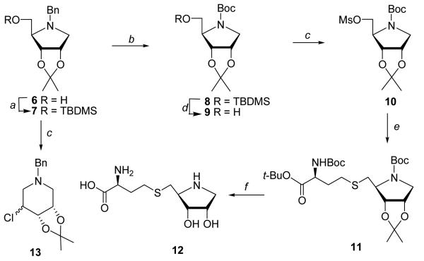 Scheme 1