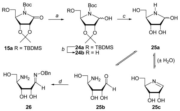 Scheme 3